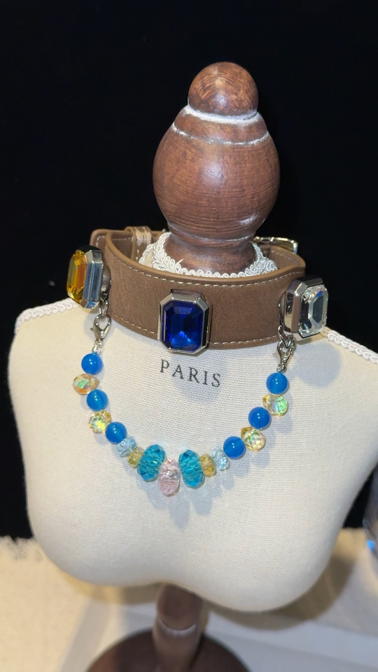 Blue Orbit Pet Collar