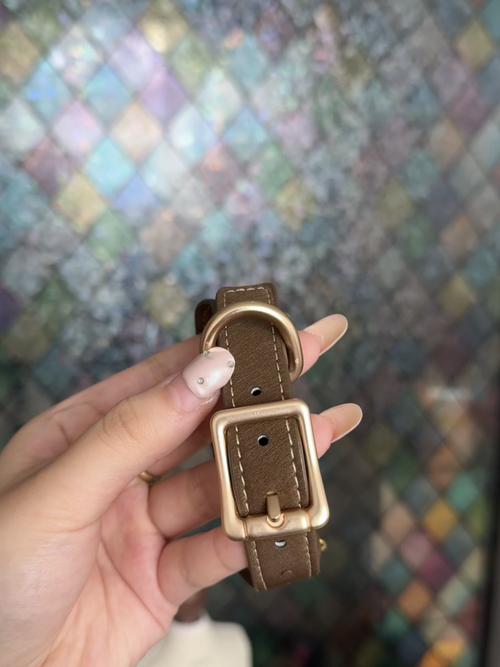Modular Belt Collar Base